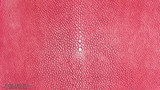 Stingray - Pink - Sanded