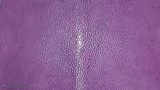 Stingray - Purple - Sanded