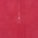 Stingray -  Red -  Polished
