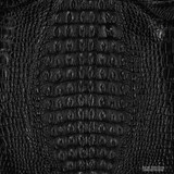 Alligator - Hornback  - Black