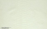 Curtus - B.C. - Pearl - Matte