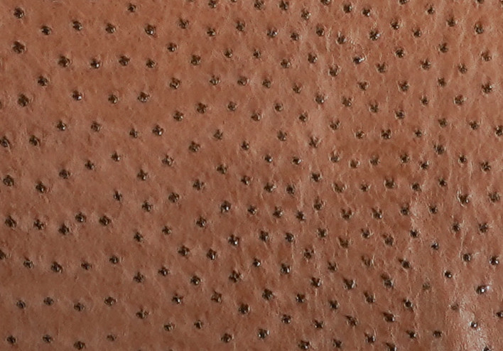 Ostrich - Kango Tabac - Matte 
