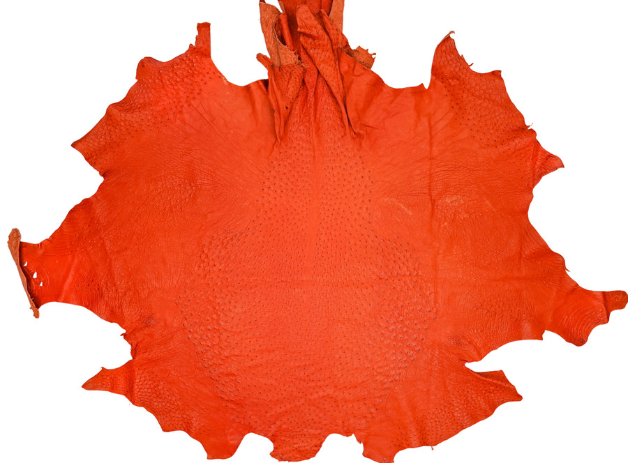 Ostrich - Tangerine - Matte