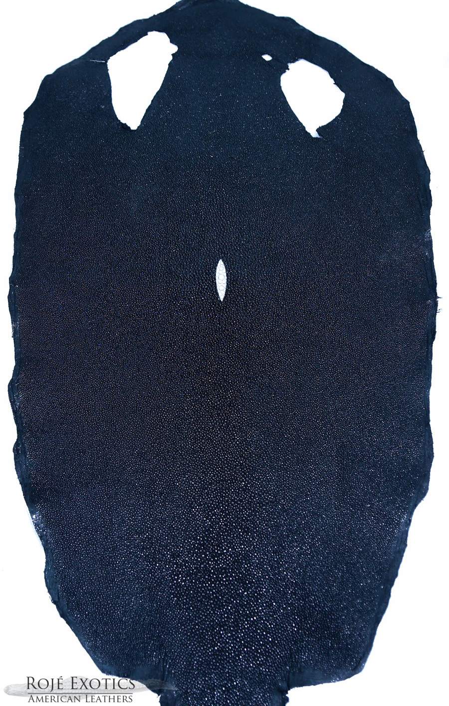 Stingray - Navy - Caviar
