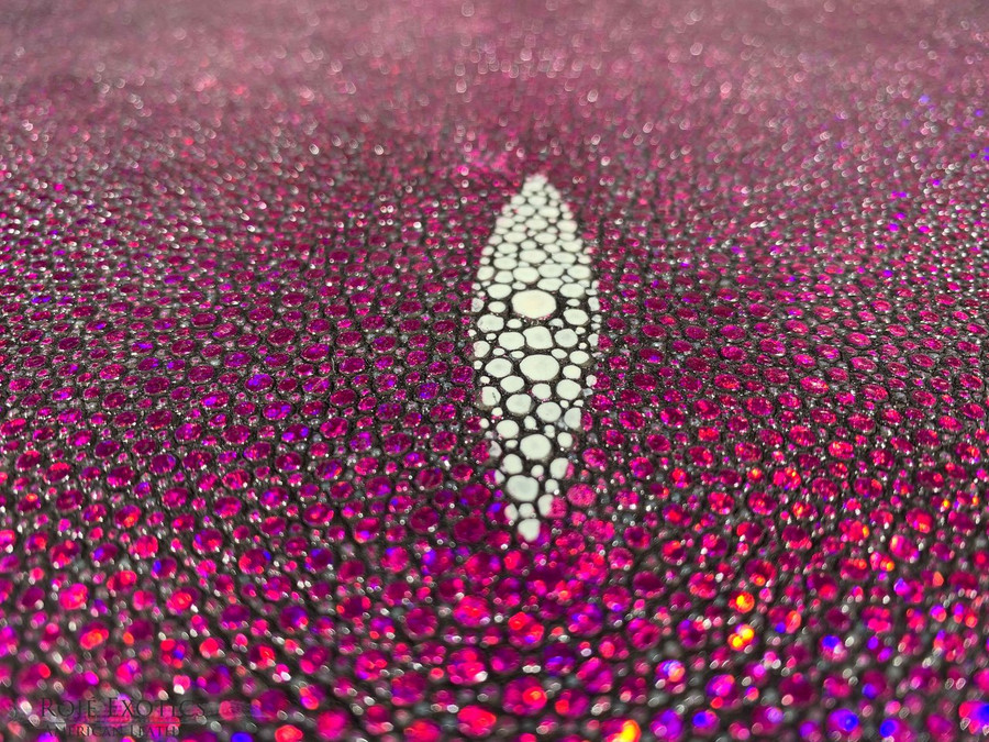 Stingray - Pink - Hologram