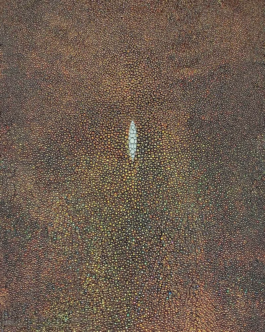 Stingray - Gold - Hologram
