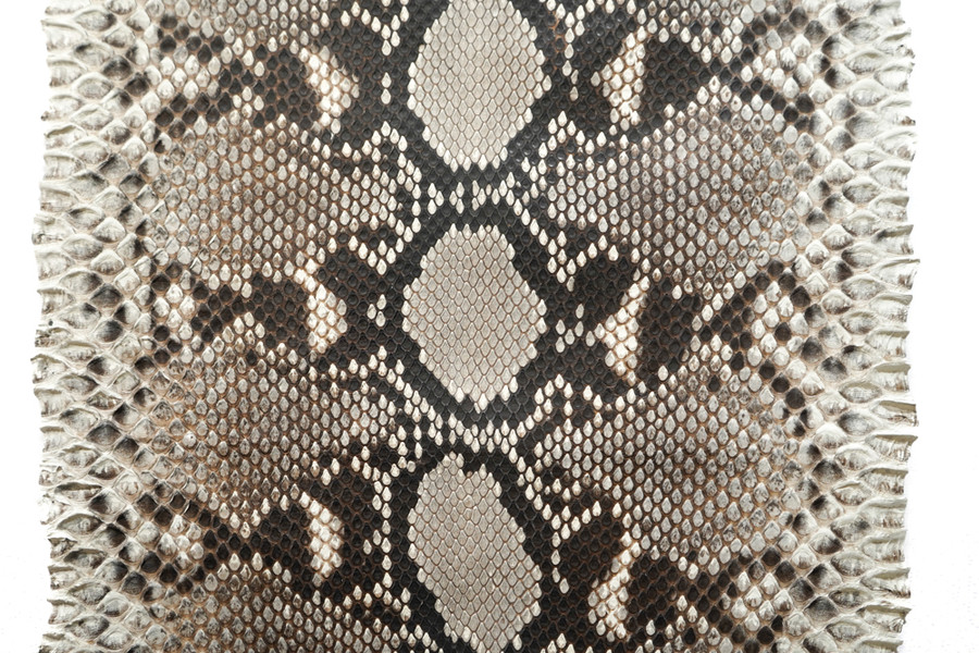 Reticulated - F.C. -  U.B. -  Matte