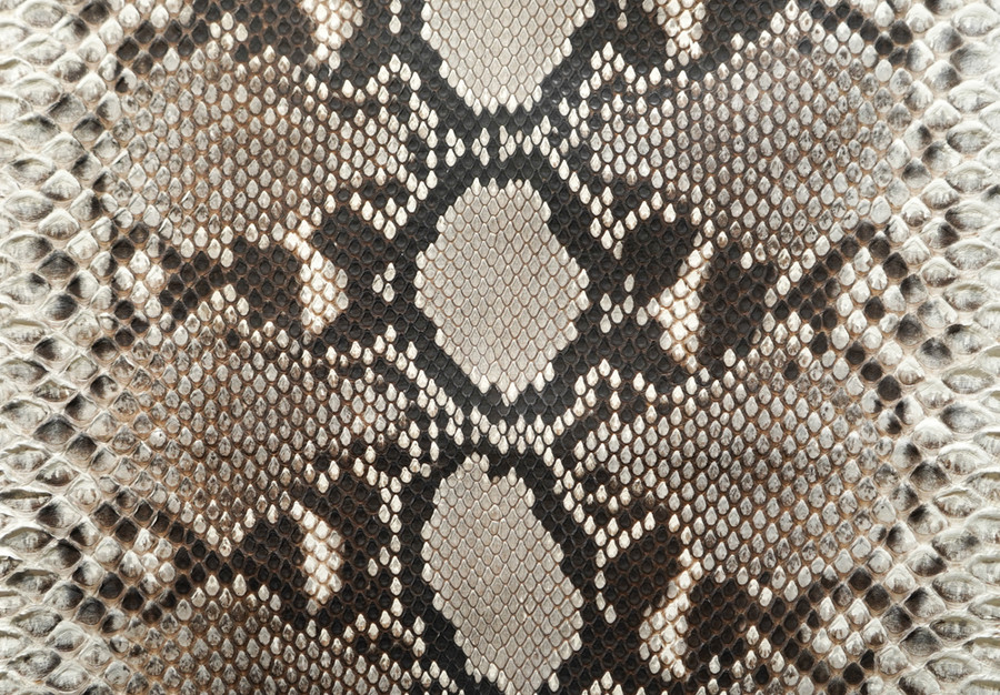 Reticulated - F.C. -  U.B. -  Matte