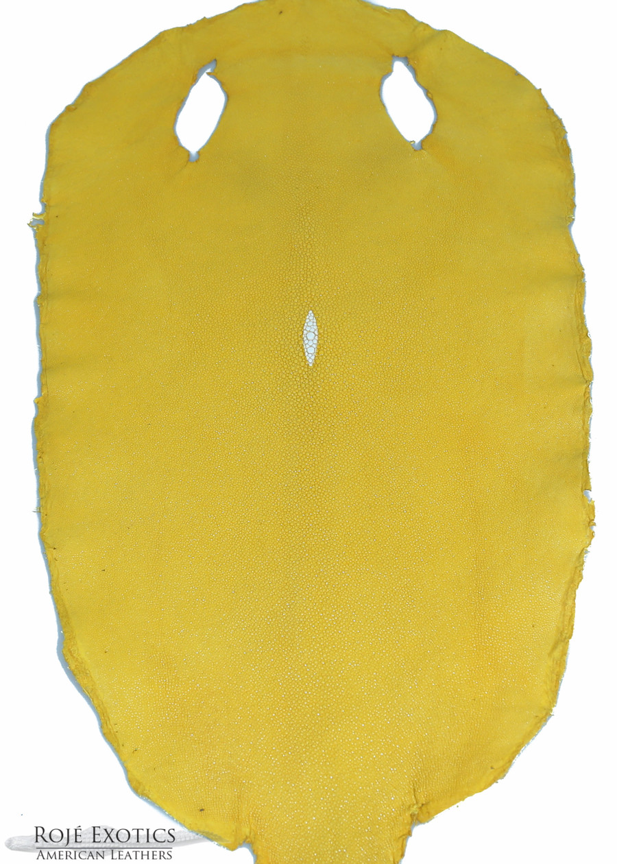 Stingray -S. Yellow - Caviar 