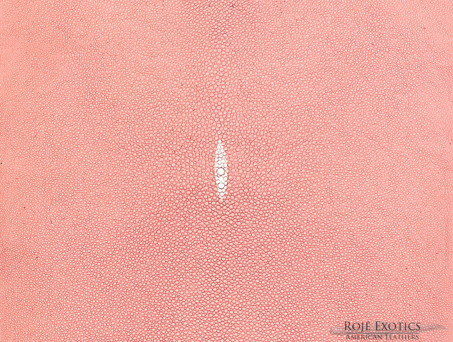 Stingray - I. Pink - Caviar