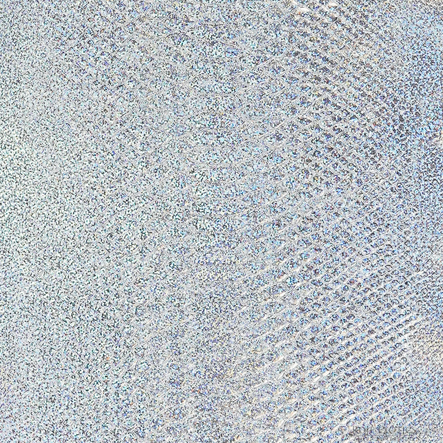 Curtus - B.C. - Silver - Hologram