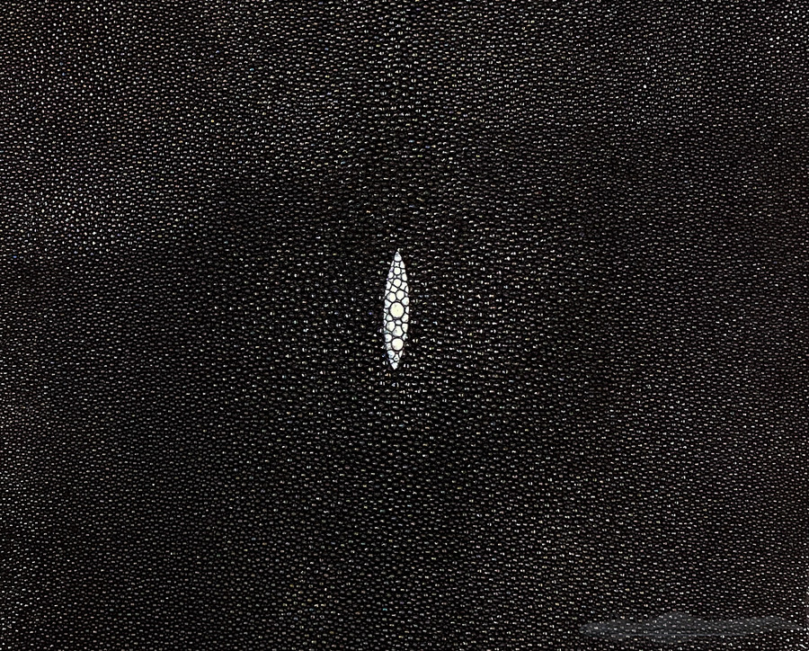 Stingray - D. Brown - Caviar 