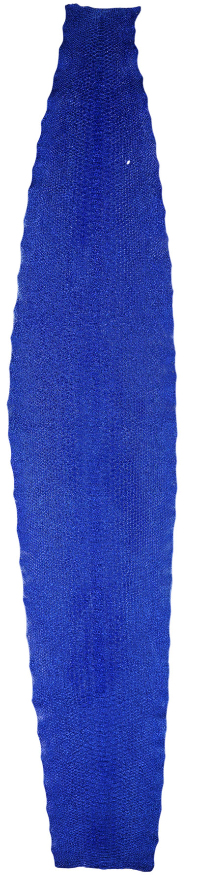 Curtus - B.C. - Blue - Hologram