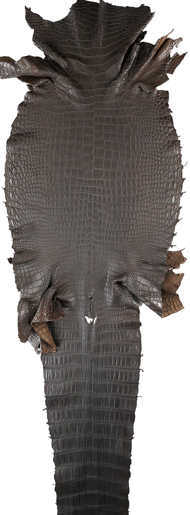 Porosus - Anthracite - Garment