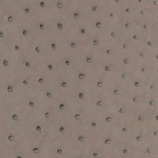 Ostrich - Tapestry Grey  - Matte