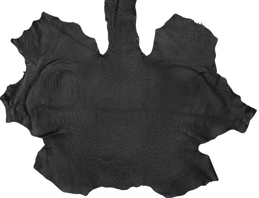 Ostrich - Gunmetal - Matte