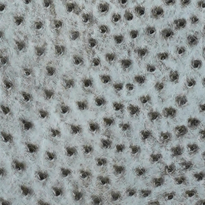 Ostrich - Mist - Bruciato