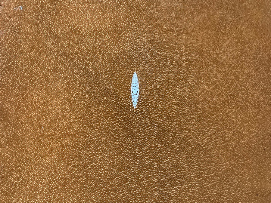 Stingray - Saddle - Caviar