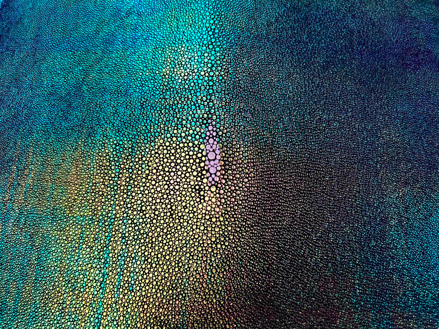 Stingray - Aurora - Metallic Finish 