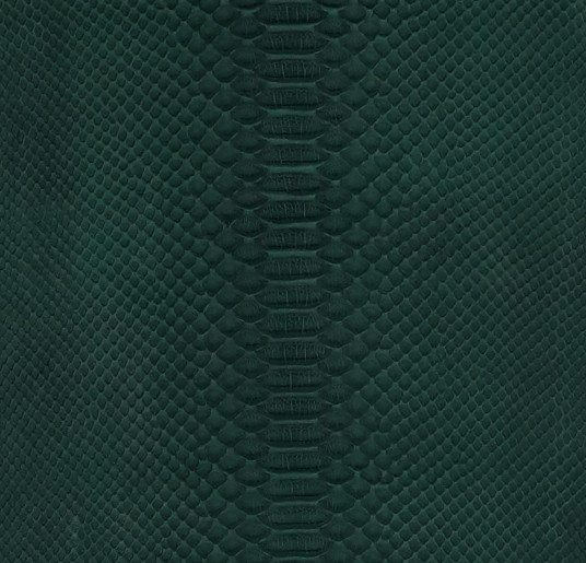 Reticulated- B.C. - Green - G.G.