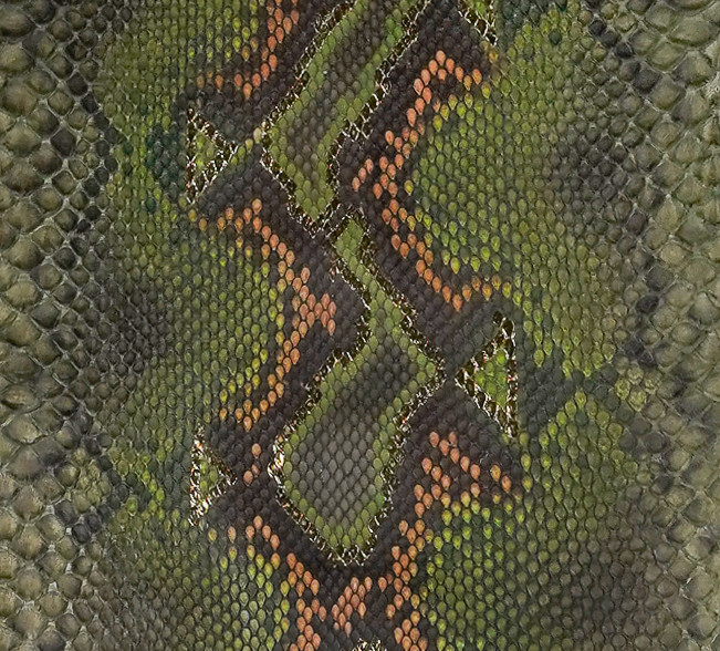 Reticulated- F.C. - U.B - H.P. - Camo