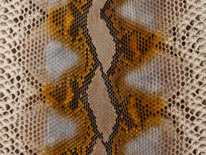 Reticulated- F.C. - U.B - H.P. - Brown