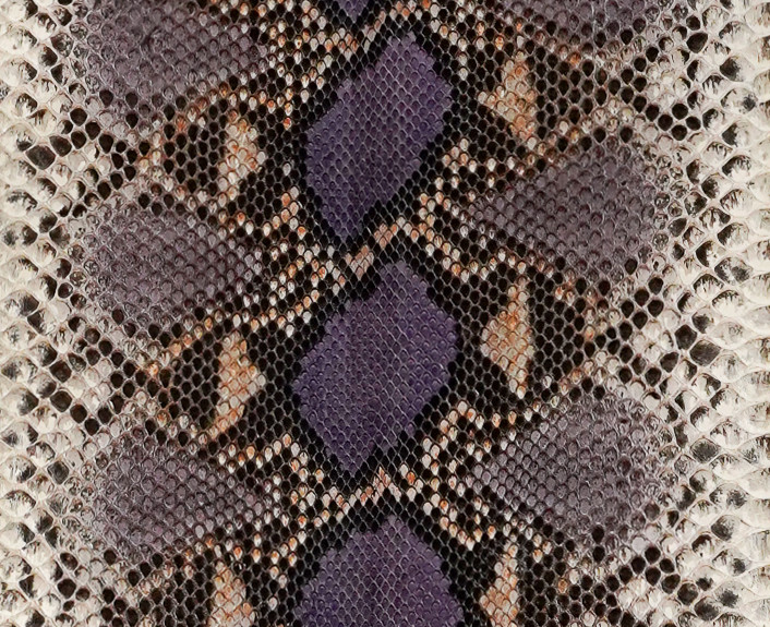 Reticulated- F.C. - U.B - H.P. - Purple