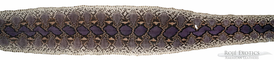Reticulated- F.C. - U.B - H.P. - Purple