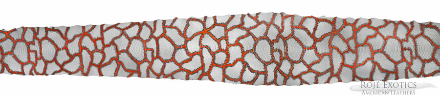 Reticulated- F.C. - U.B - H.P. - 10