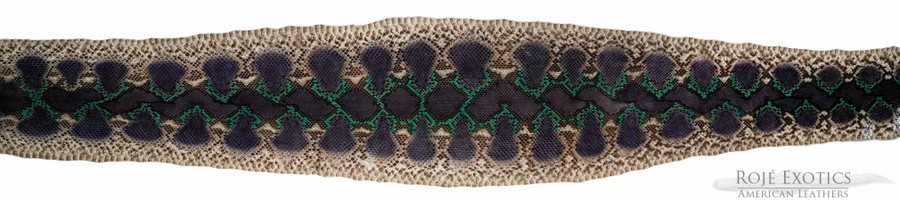 Reticulated- F.C. - U.B - H.P. - Green