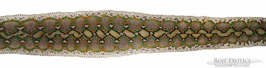 Reticulated- F.C. - U.B - H.P. - 8