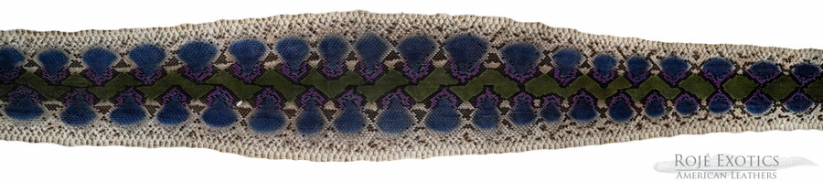 Reticulated- F.C. - U.B - H.P. - 7