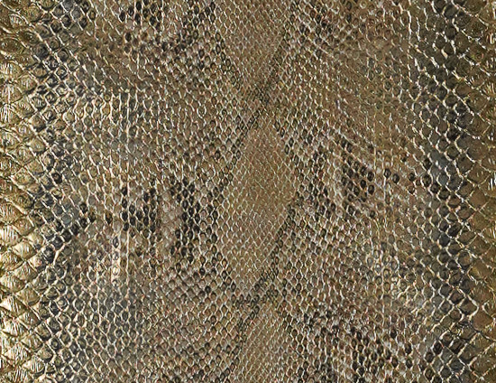 Reticulated- F.C. - U.B - H.P. - 1