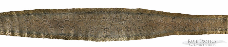 Reticulated- F.C. - U.B - H.P. - 1