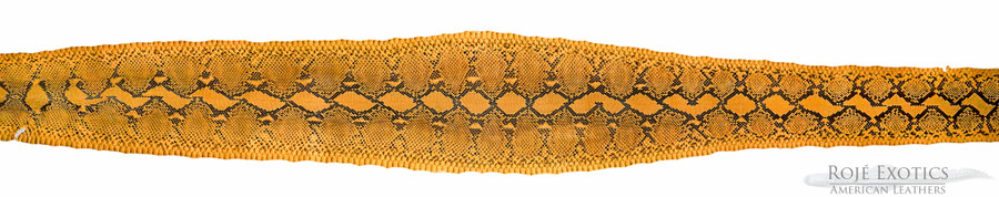 Reticulated Python - BC - Yellow- Glazed