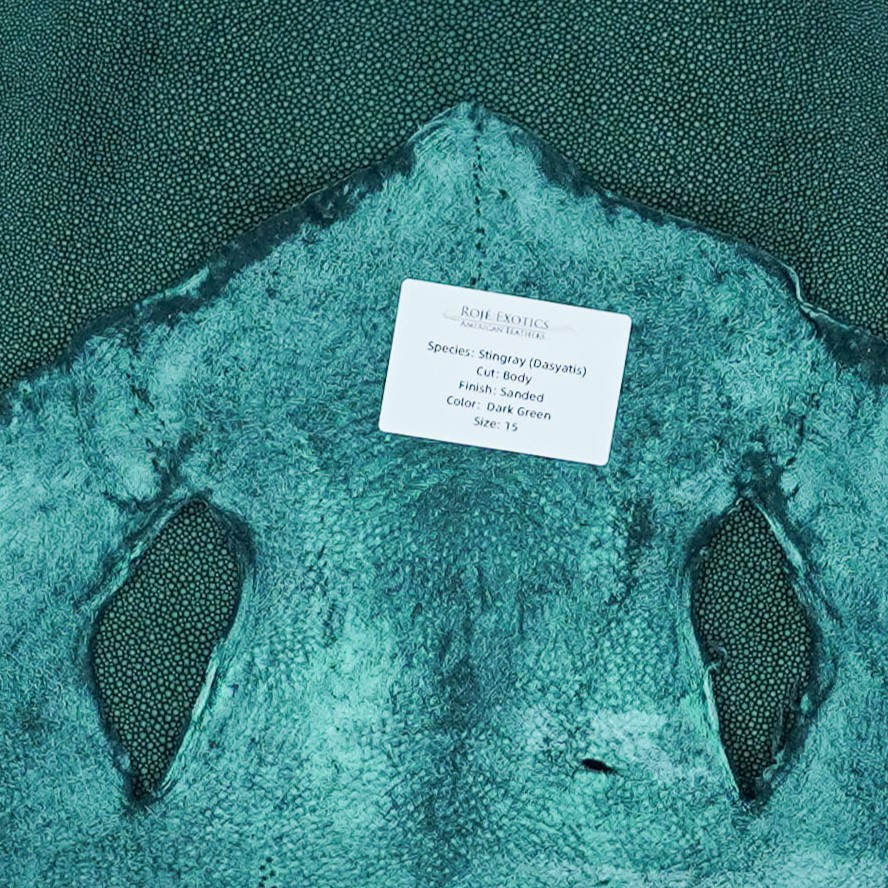 Stingray - D. Green - Sanded 