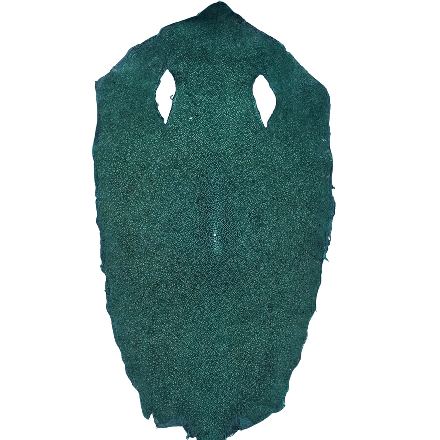 Stingray - D. Green - Sanded 