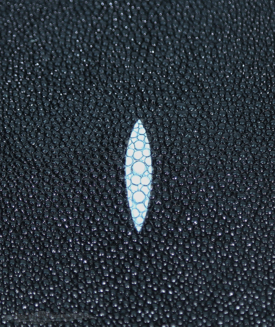 Stingray - Black - Caviar