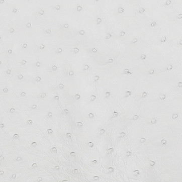 Ostrich - R. White - Matte