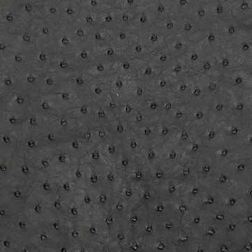 Ostrich - Seal Grey - Matte