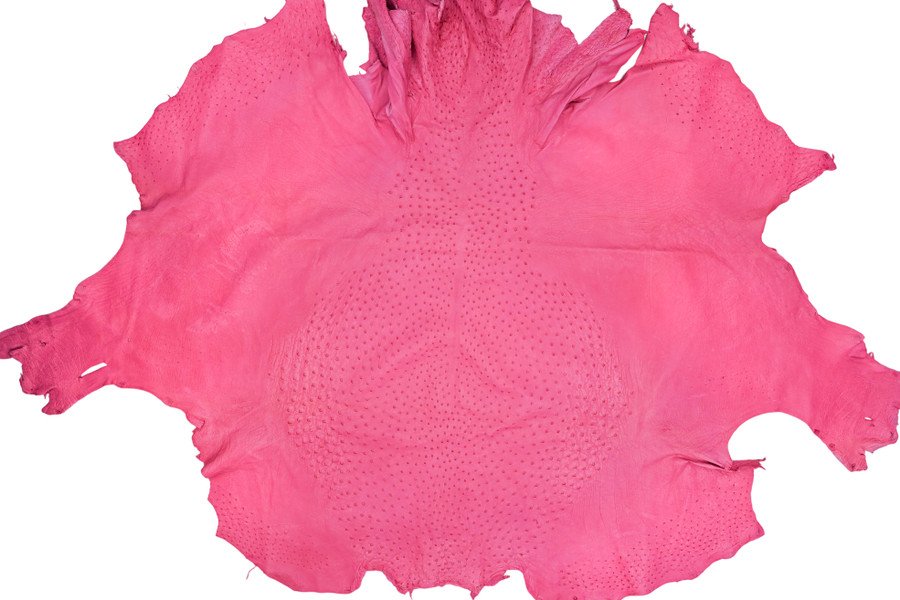 Ostrich - Fuchsia  - Matte