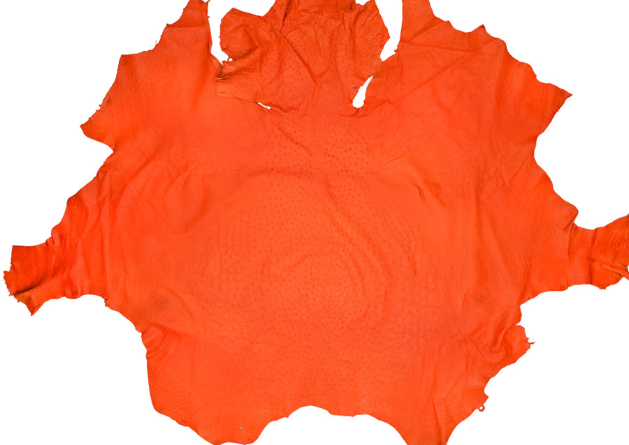 Ostrich - Orange - Matte
