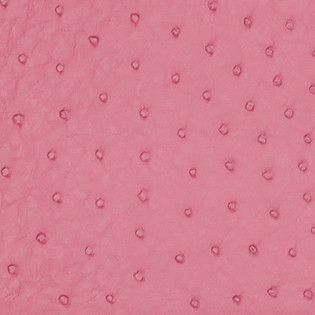 Ostrich - Rose  - Matte