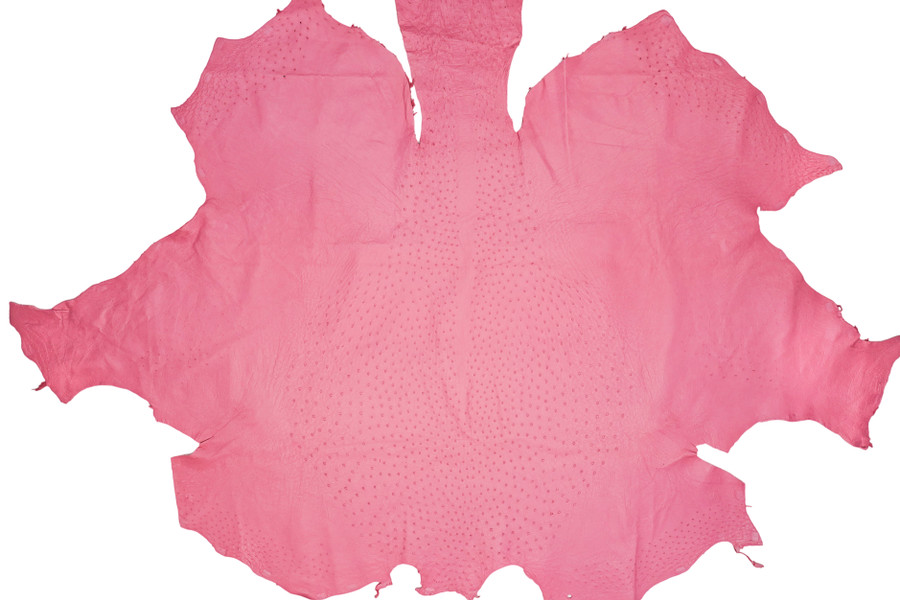 Ostrich - Rose  - Matte