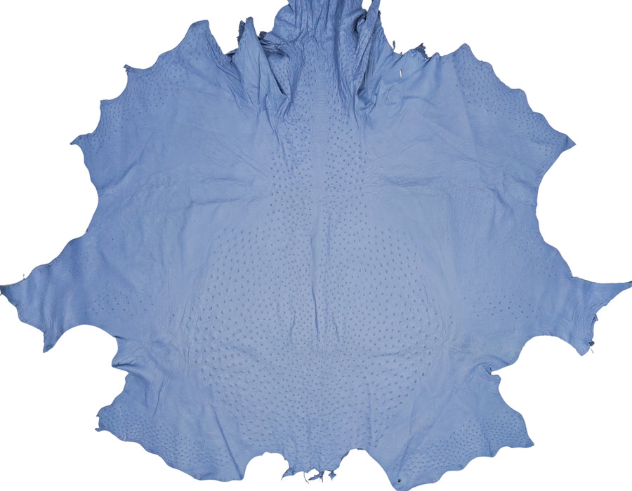Ostrich - Sky Blue - Matte