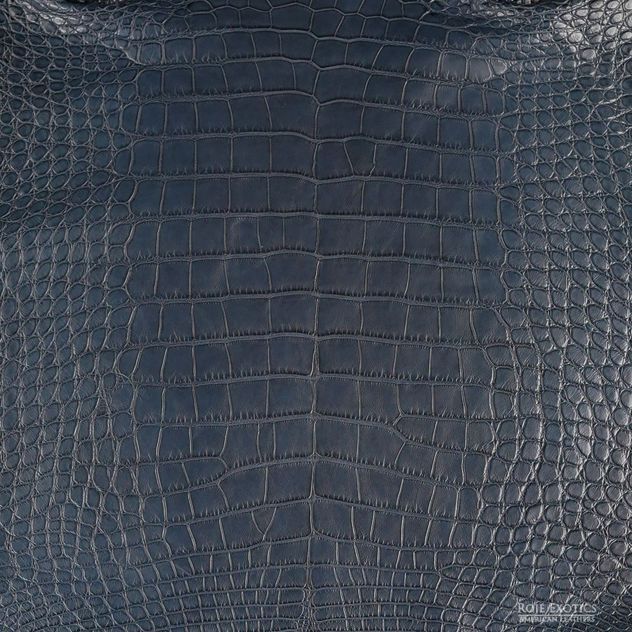 Alligator - M. Navy - Garment
