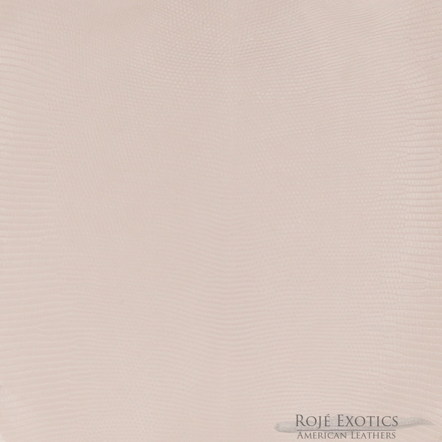 Lizard - F.C. - O. Pink - Millennium