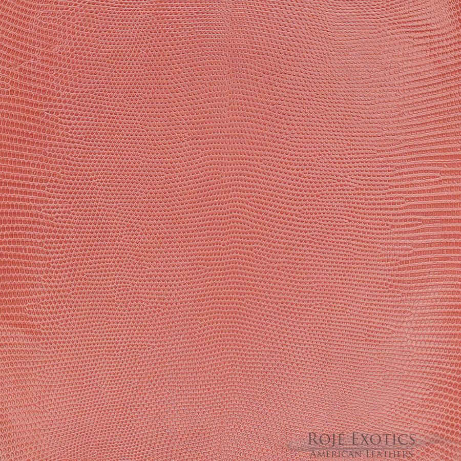 Lizard - F.C. - S. Pink - Millennium