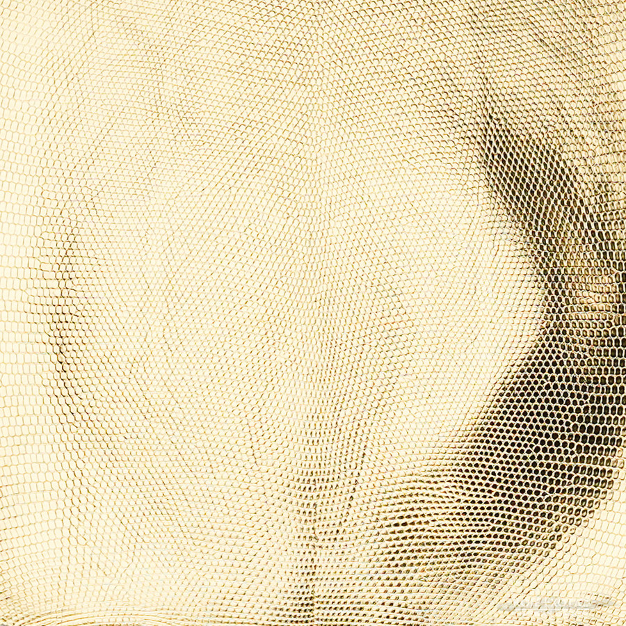 Lizard - F.C. - Gold - Millennium