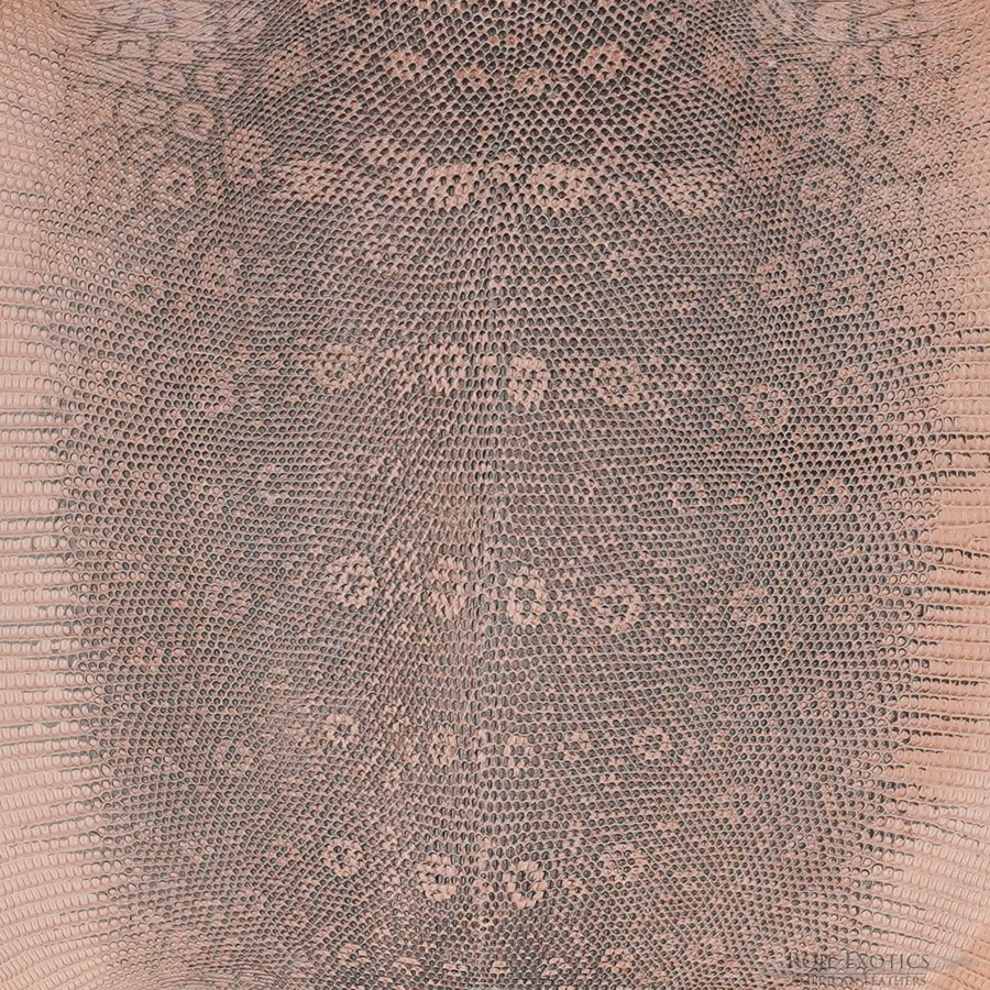 Lizard - F.C. U.B.  Peach - Millennium